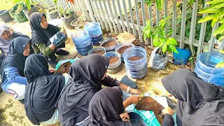 Wujudkan Karakter Santri Mandiri: MA PPPI Miftahussalam Banyumas Gelar Praktik Kokurikuler Pertanian hingga Pengelolaan Sampah